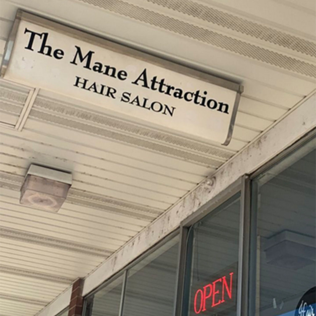 The Mane Attraction Hair Care & Product Online Business